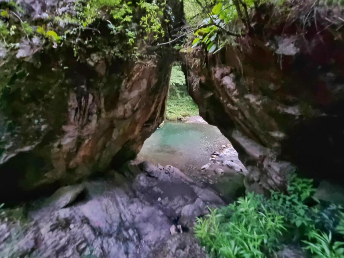 Banjār Ishan Log Huts-A Boutique Home Stay מראה חיצוני תמונה