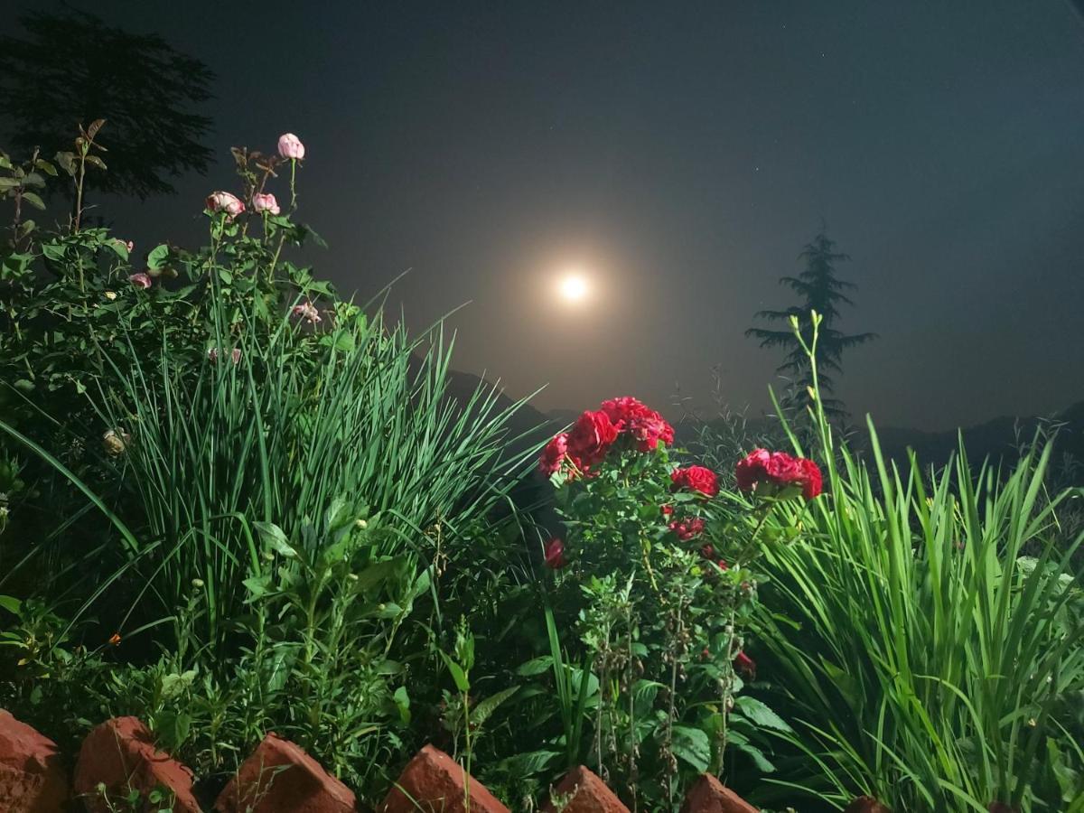 Banjār Ishan Log Huts-A Boutique Home Stay מראה חיצוני תמונה