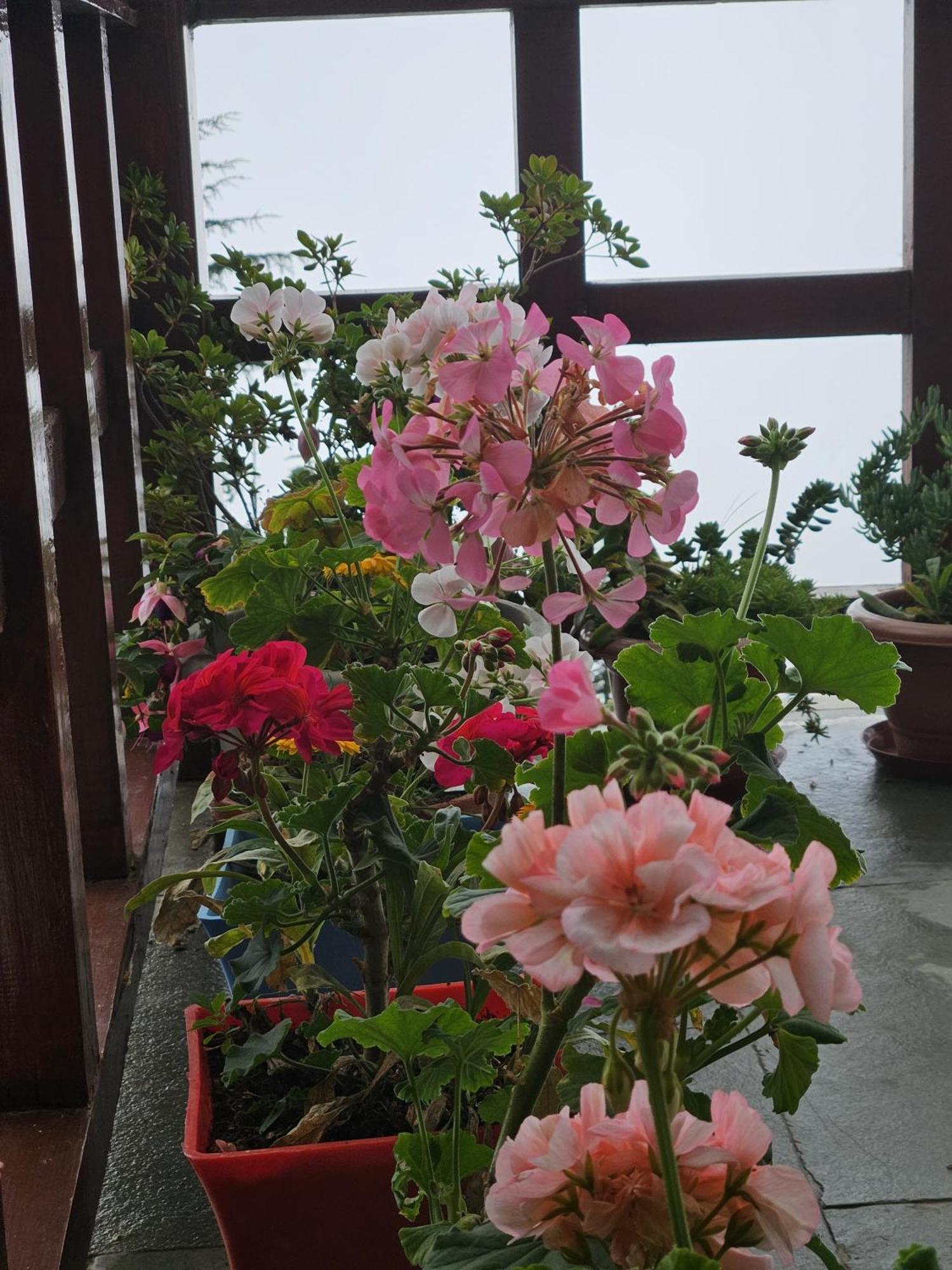 Banjār Ishan Log Huts-A Boutique Home Stay מראה חיצוני תמונה